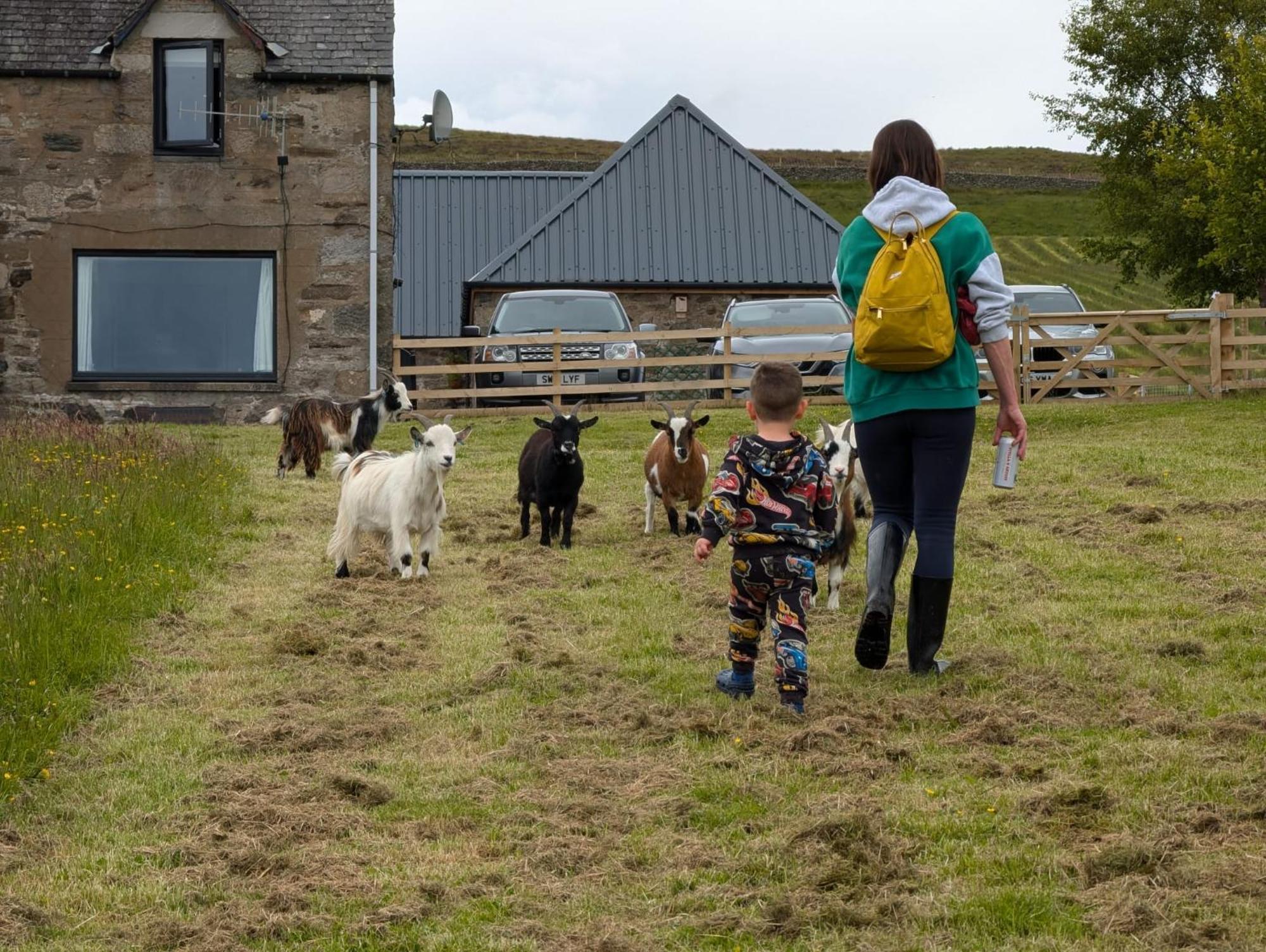 Tomnauld Farm Hotel Pitlochry Kültér fotó